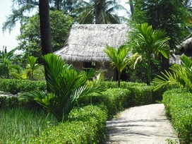 Picture